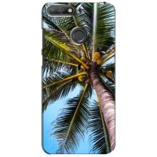 Силіконовий чохол з КАРТИНКАМИ літо для Huawei Y6 Prime 2018 (AlphaPrint) (Пальма)