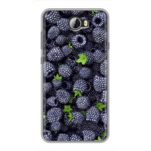 Чехлы с Фруктами для Huawei Y5II (VPrint) (Ежевика)