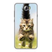 Чехлы с Котиками для Huawei Y5II (VPrint) (Прыжок кота)