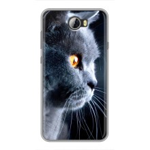 Чехлы с Котиками для Huawei Y5II (VPrint) (Серый Кот)
