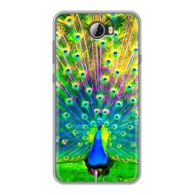Чехол с птицами на Huawei Y5II (VPrint) (Яркий Павлин)