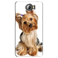 Чехол (ТПУ) Милые собачки для Huawei Y5II – Собака Терьер
