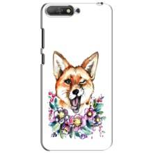 Чехлы с картинкой Лисички для Huawei Y6 2018 (VPrint) (Веселая лисичка)