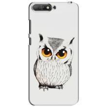 Чехол с птицами на Huawei Y6 2018 (VPrint) (Милая Сова)