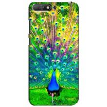 Чехол с птицами на Huawei Y6 2018 (VPrint) (Яркий Павлин)