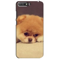 Чехол (ТПУ) Милые собачки для Huawei Y6 2018 (Померанский шпиц)