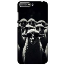 Чохол з принтом стильні тварини для Хуавей Y6 2018 (Овечка в окулярах)