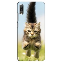 Чехлы с Котиками для Huawei Y6 2019 (VPrint) (Прыжок кота)