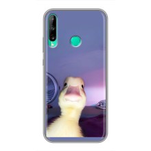 Бампер з принтом Меми для Huawei Y6p – Качка