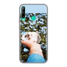 Чехлы с изображением разных животных для Huawei Y6p (Ежик на руках)