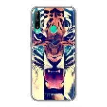Чехлы с изображением разных животных для Huawei Y6p (Яркий Тигр)