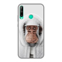 Чехлы с Обезьянами NFT для Huawei Y6p (AlphaPrint) (обезьяна NFT в тату)