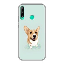 Чохли з собаками для Huawei Y6p (VPrint) (Коргі)