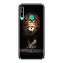 Чехол со Львом для Huawei Y6p (VPrint) (Лев)