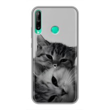 Чехол с рисунком кот на Huawei Y6p (Пара котов)