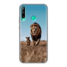 Чехол Король лев на Хуавей Y6п – Мусафа и Симба