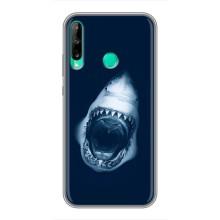 Силиконовый бампер с картинкой животных для Huawei Y6p (Пасть Акулы)