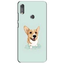 Чехлы с собаками для Huawei Y6s (VPrint) – Корги