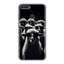 Чехол с принтом стильные животные для Хуавей Y7 Прайм 2018 – Овечка в очках