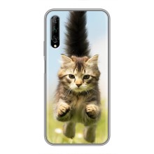 Чохли з Котиками для Huawei Y7 Pro 2019 (VPrint) – Прижок кота
