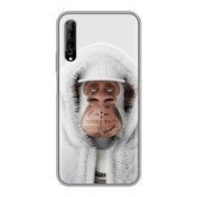 Чехлы с Обезьянами NFT для Huawei Y7 Pro 2019 (AlphaPrint) – обезьяна NFT в тату