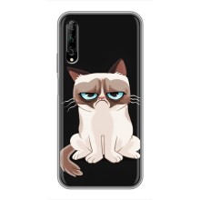 Чехол с принтом для Huawei Y7 Pro 2019 (AlphaPrint) Модные коты – Грустный кот