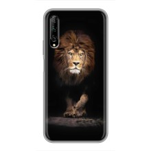 Чохол з картинкою ЛЕВ для Huawei Y7 Pro 2019 (VPrint) – Лев