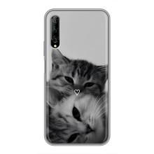 Чохол з малюнком кіт на Huawei Y7 Pro 2019 – Пара котів