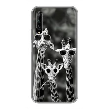 Силиконовый чехол с КАРТИНКАМИ лето для Huawei Y7 Pro 2019 (AlphaPrint) – Жирафы в очках