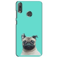Бампер для Huawei Y7 2019 с картинкой "Песики" – Собака Мопс