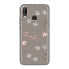 Чохол з малюнком кіт на Huawei Y7 2019 (Лапи і вуса)