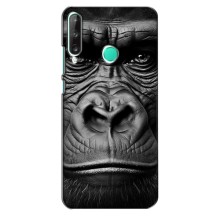 Чохли з Горилою на Хуавей У7п (2020) – Чорна мавпа
