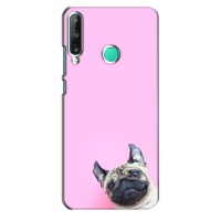 Бампер для Huawei Y7p (2020) с картинкой "Песики" – Собака на розовом