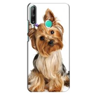 Чехол (ТПУ) Милые собачки для Huawei Y7p (2020) (Собака Терьер)