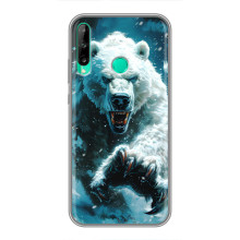 Чохол з картинкою 'Хижаки' для Huawei Y7p (2020) – Ведмідь