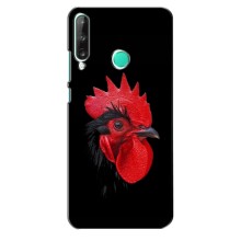 Силиконовый чехол с птичкой на Huawei Y7p (2020) – Петушок