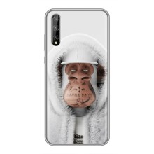 Чохли з Мавпами NFT для Huawei P Smart S / Y8p (2020) (AlphaPrint) (мавпа NFT в тату)