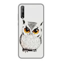 Чохол з пташками на Huawei P Smart S / Y8p (2020) (VPrint) (Мила Сова)
