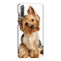 Чехол (ТПУ) Милые собачки для Huawei P Smart S / Y8p (2020) (Собака Терьер)