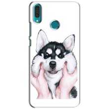 Чохол з Хаскі Huawei Y9 2019 / Enjoy 9 Plus - (AlphaPrint)