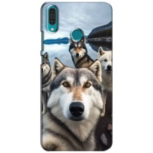 Чехол с Хаски для Huawei Y9 2019 / Enjoy 9 Plus - (AlphaPrint) (Селфи ХАски)