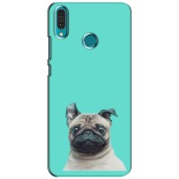 Бампер для Huawei Y9 2019 / Enjoy 9 Plus с картинкой "Песики" (Собака Мопс)