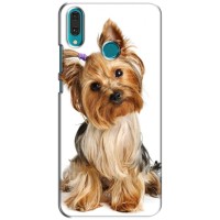 Чехол (ТПУ) Милые собачки для Huawei Y9 2019 / Enjoy 9 Plus (Собака Терьер)