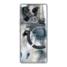 Чехлы с картинками животных Infinix GT 20 Pro (Волк)