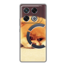 Чехол (ТПУ) Милые собачки для Infinix GT 20 Pro (Померанский шпиц)