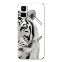 Чехлы с картинками животных Infinix GT 30 Pro (Белый Тигр)