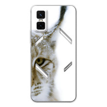 Чехлы с картинками животных Infinix GT 30 Pro (Рысь)