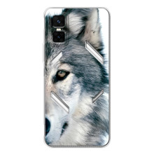 Чехлы с картинками животных Infinix GT 30 Pro (Волк)