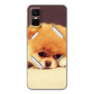Чохол (ТПУ) Милі песики для Infinix GT 30 Pro (Померанский шпіц)