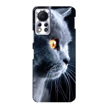 Чохли з Котиками для Infinix Hot 11s (VPrint) (Сірий Кіт)